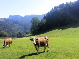 18560370-Ferienwohnung-4-Aschau im Chiemgau-300x225-3