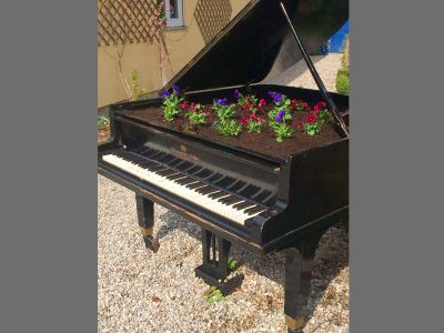 Bepflanztes Piano