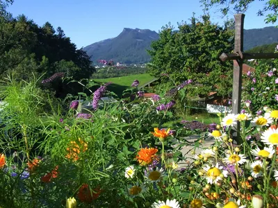 Aussicht