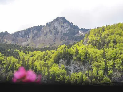 Ausblick auf die Berge