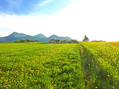 Landschaft um Höhenberg