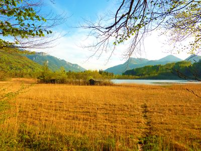 Landschaftsschutzgebiet Bärnsee - Umgebung