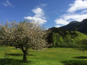 22367081-Ferienwohnung-2-Aschau im Chiemgau-300x225-3