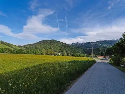 Gschwendtnerhof Nebenstraße und Bergblick