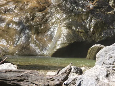 Gumpe am Wasserfall