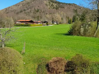 Aussicht der Ferienwohnung