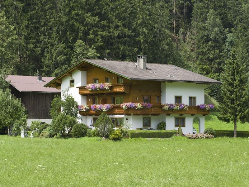 23938498-Ferienwohnung-6-Aschau im Zillertal-800x600-0