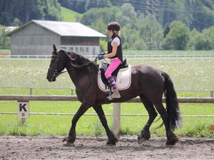 24025156-Ferienwohnung-8-Aschau im Zillertal-300x225-3