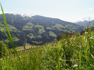 23823195-Ferienwohnung-5-Aschau im Zillertal-300x225-4