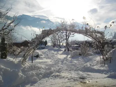 Garten im Winter