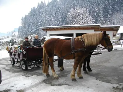 Schlittenfahren