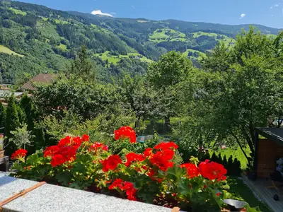 ViewSummer