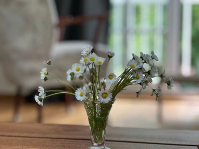 Ferienwohnung für 3 Personen (50 m²) in Ascheffel 8/10