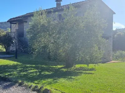 Ferienwohnung für 4 Personen (50 m²) in Asciano 7/10