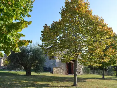 GardenSummer