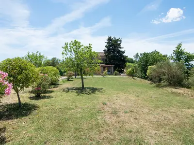 ViewSummer