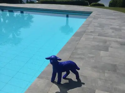 schwimmbad