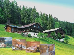 Ferienwohnung für 4 Personen (45 m&sup2;) in Assling (Tirol)