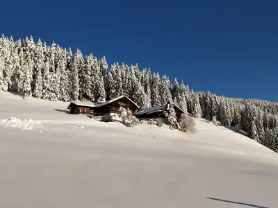 Ferienwohnung für 5 Personen (38 m²) in Assling (Tirol) 3/10