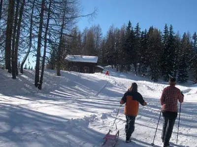 Ferienwohnung für 5 Personen (38 m²) in Assling (Tirol) 7/10