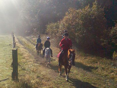 Ferienhof Pulte - Attendorn Sauerland