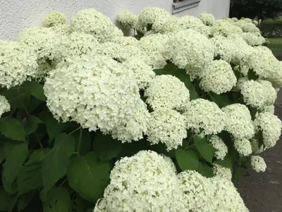 Ferienwohnung für 2 Personen (65 m²) in Attendorn 4/10