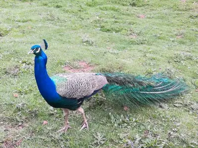 Ferienwohnung für 6 Personen (130 m²) in Attendorn 1/10