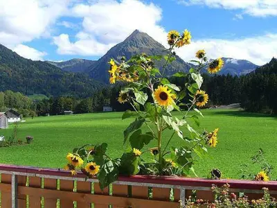 Ferienwohnung für 5 Personen (50 m²) in Au im Bregenzerwald 8/10