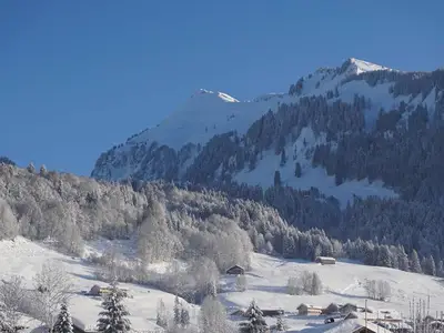 Ferienwohnung für 8 Personen (100 m²) in Au im Bregenzerwald 10/10