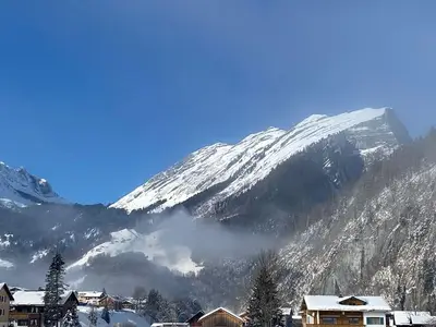 Ferienwohnung für 8 Personen (100 m²) in Au im Bregenzerwald 8/10