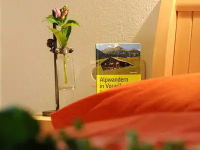 Ferienwohnung für 4 Personen (45 m²) in Au im Bregenzerwald 2/10
