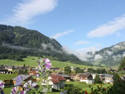 Ferienwohnung für 2 Personen (60 m²) in Au im Bregenzerwald 4/10