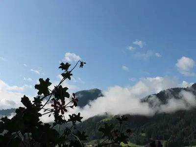 Ferienwohnung für 2 Personen (60 m²) in Au im Bregenzerwald 8/10