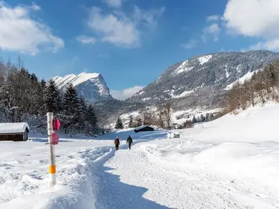 Ferienwohnung für 6 Personen (72 m²) in Au im Bregenzerwald 9/10