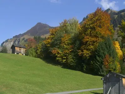 Ferienwohnung für 7 Personen (84 m²) in Au im Bregenzerwald 9/10