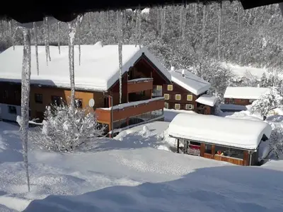 Ferienwohnung für 4 Personen (42 m²) in Au im Bregenzerwald 4/10