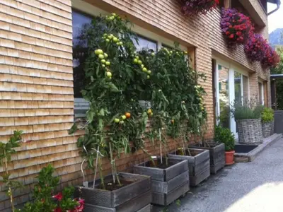 Ferienwohnung für 2 Personen (30 m²) in Au im Bregenzerwald 5/10