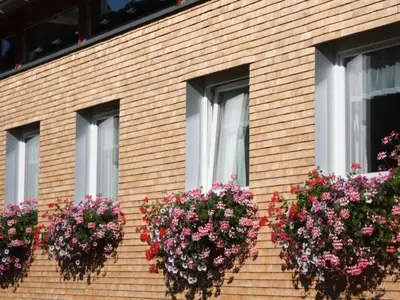 Ferienwohnung für 2 Personen (30 m²) in Au im Bregenzerwald 8/10