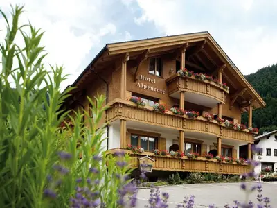 Ferienwohnung für 4 Personen (43 m²) in Au im Bregenzerwald 3/10