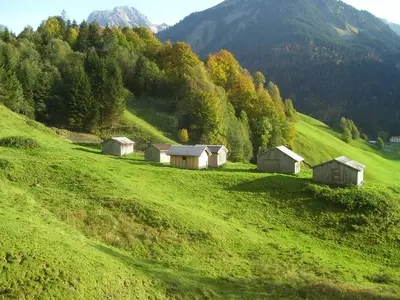 Ferienwohnung für 5 Personen (64 m²) in Au im Bregenzerwald 4/10