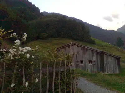 Ferienwohnung für 5 Personen (64 m²) in Au im Bregenzerwald 10/10