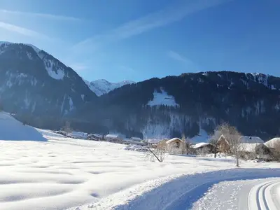 Ferienwohnung für 5 Personen (57 m²) in Au im Bregenzerwald 1/10