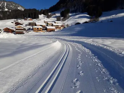 Ferienwohnung für 5 Personen (57 m²) in Au im Bregenzerwald 2/10