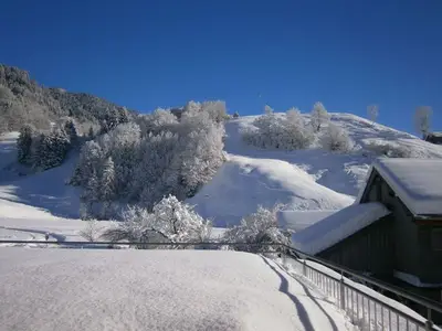 Ferienwohnung für 5 Personen (57 m²) in Au im Bregenzerwald 4/10