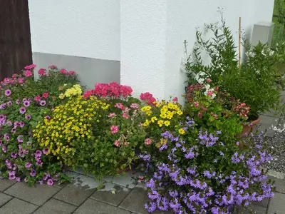 Ferienwohnung für 4 Personen (65 m²) in Au im Bregenzerwald 5/10