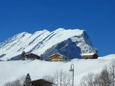 Ferienwohnung für 6 Personen (85 m²) in Au im Bregenzerwald 7/10