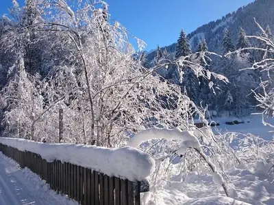 Ferienwohnung für 5 Personen (70 m²) in Au im Bregenzerwald 5/10