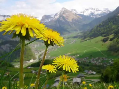Ferienwohnung für 6 Personen (60 m²) in Au im Bregenzerwald 3/10