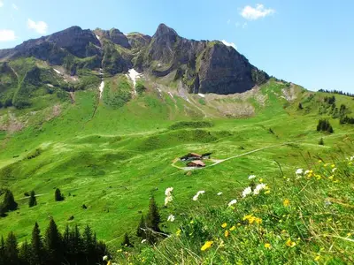 Ferienwohnung für 6 Personen (60 m²) in Au im Bregenzerwald 10/10