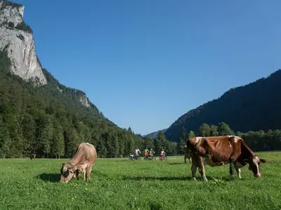 Ferienwohnung für 2 Personen (38 m²) in Au im Bregenzerwald 2/10
